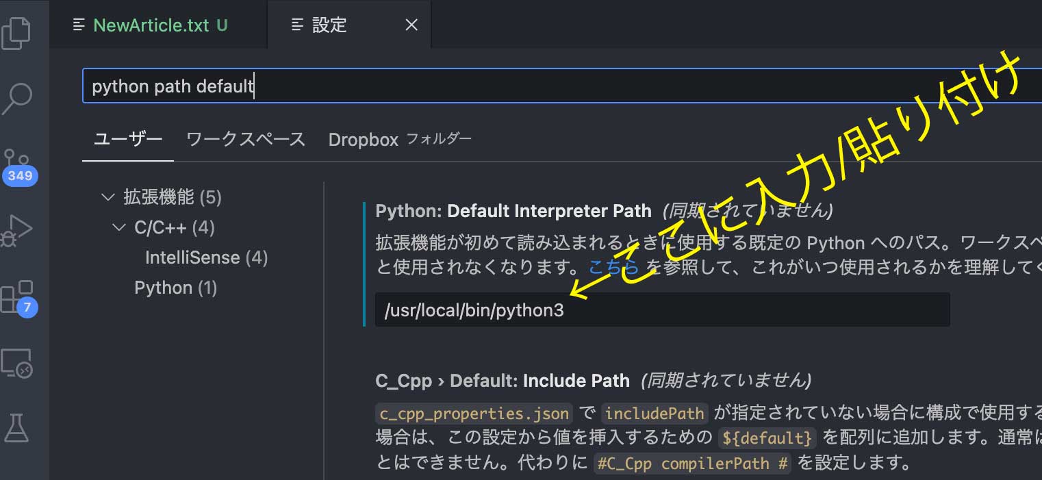 how to set the path to Python on vscode | 1978WORKS