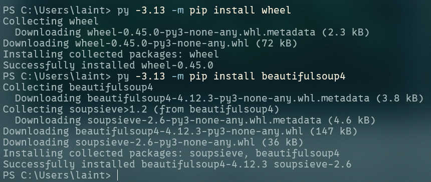 Python pip install wheel